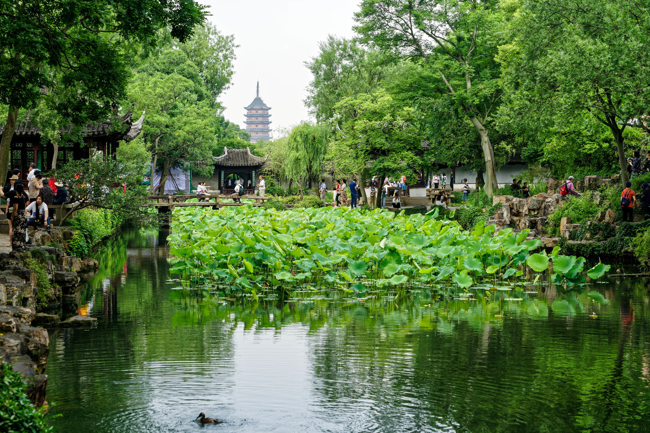 Suzhou Garden